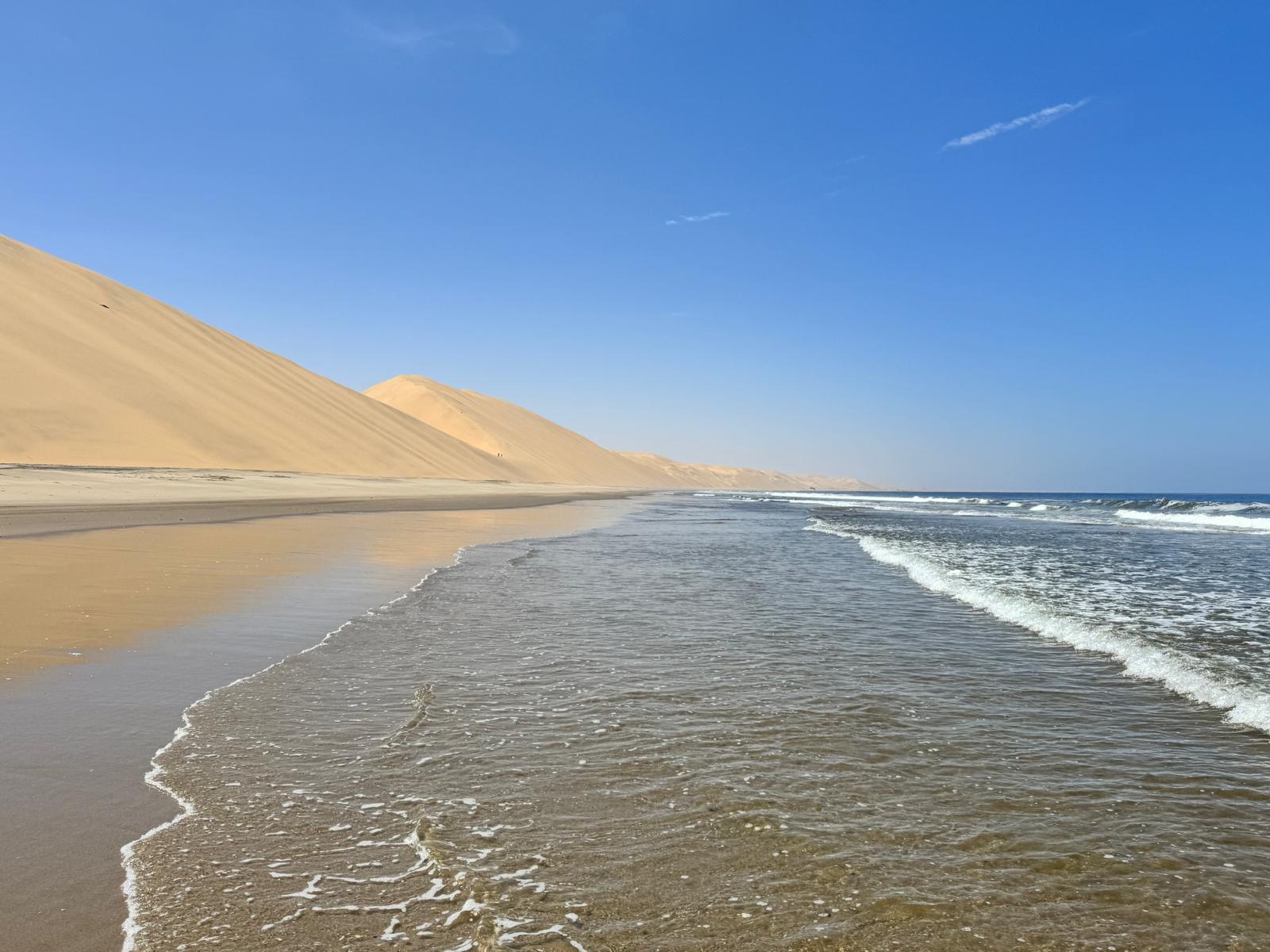 Dunes Meet the Ocean