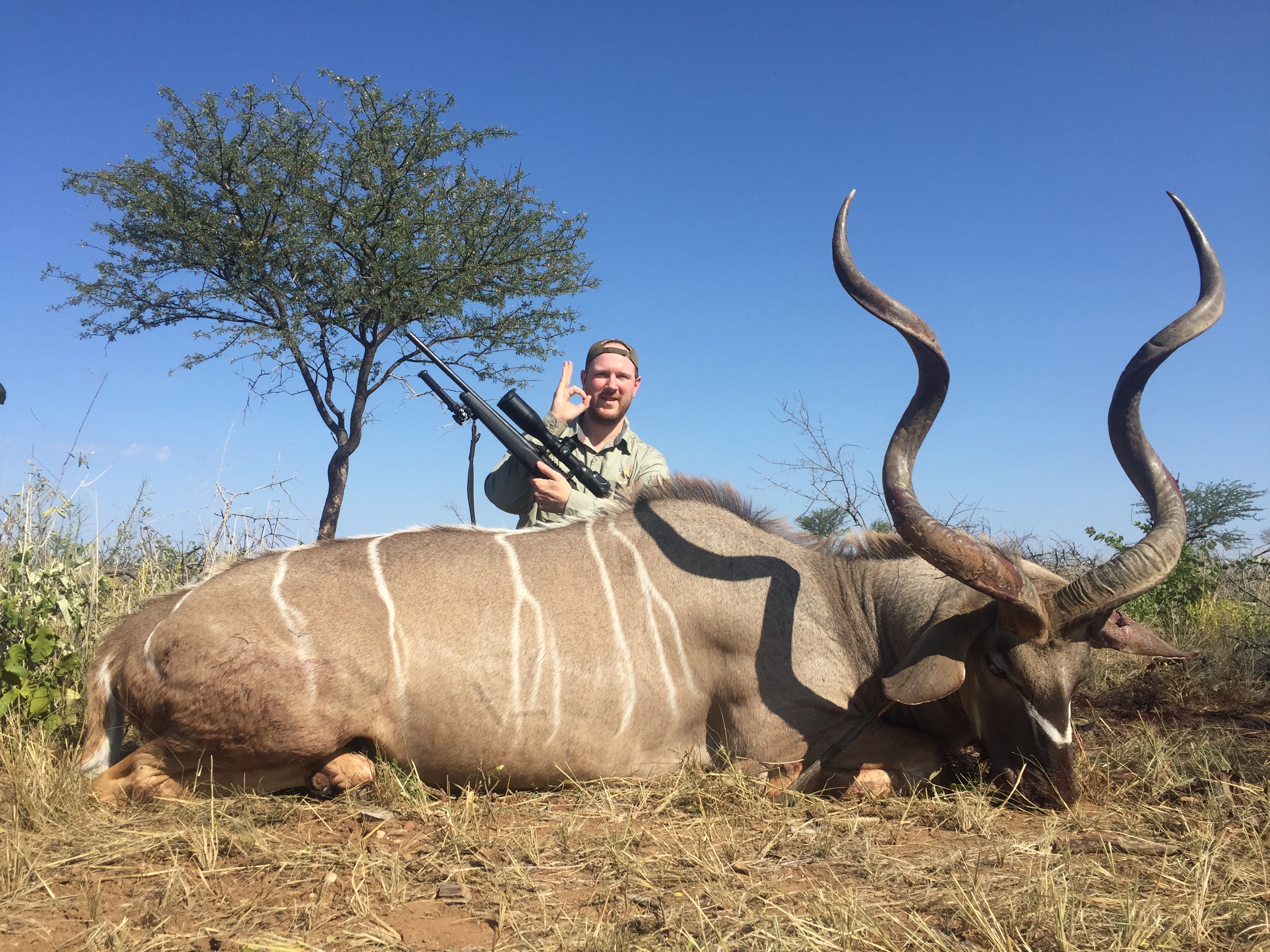 Massive Kudu Trophy