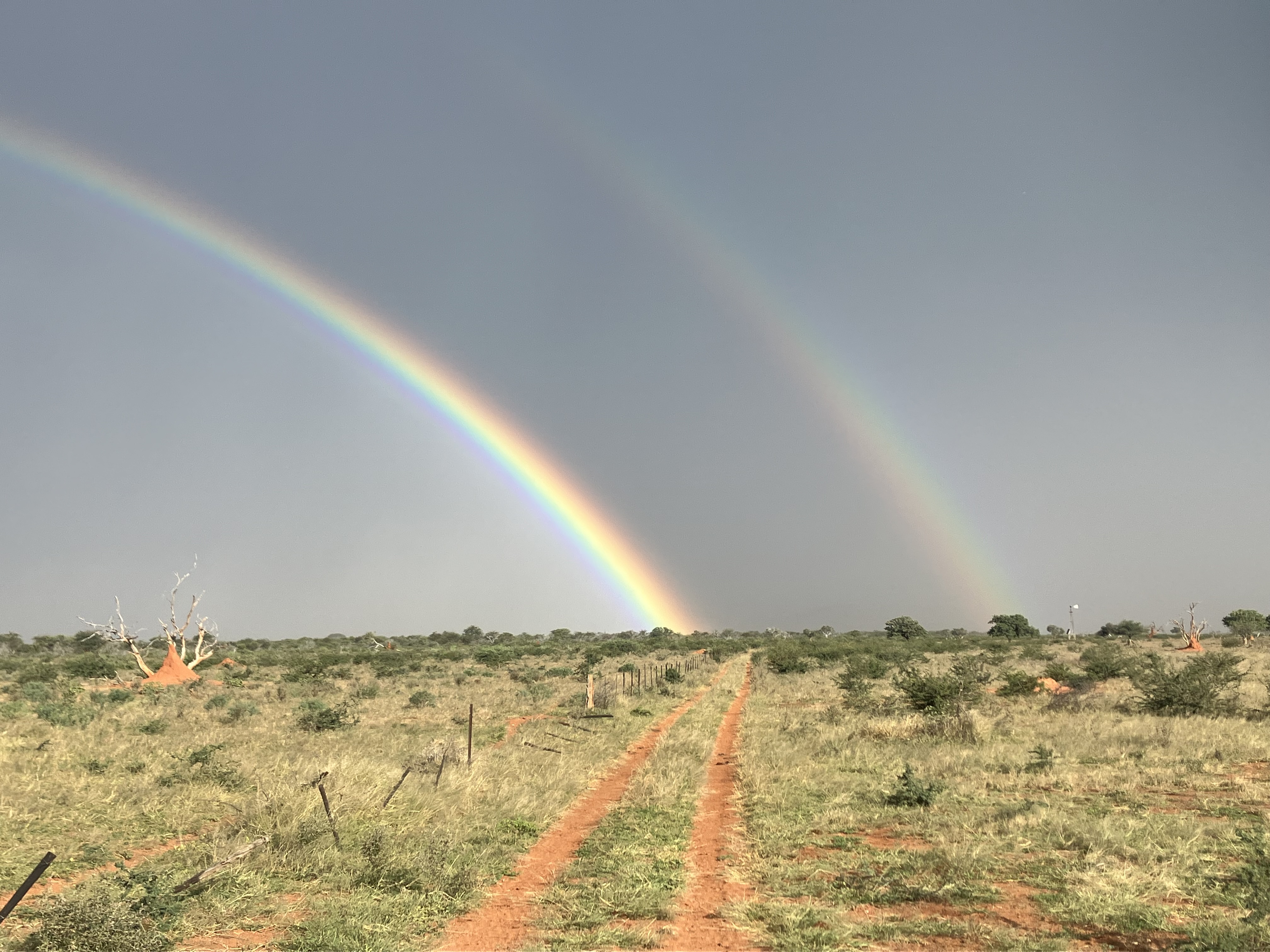 Double Rainbow over Bush