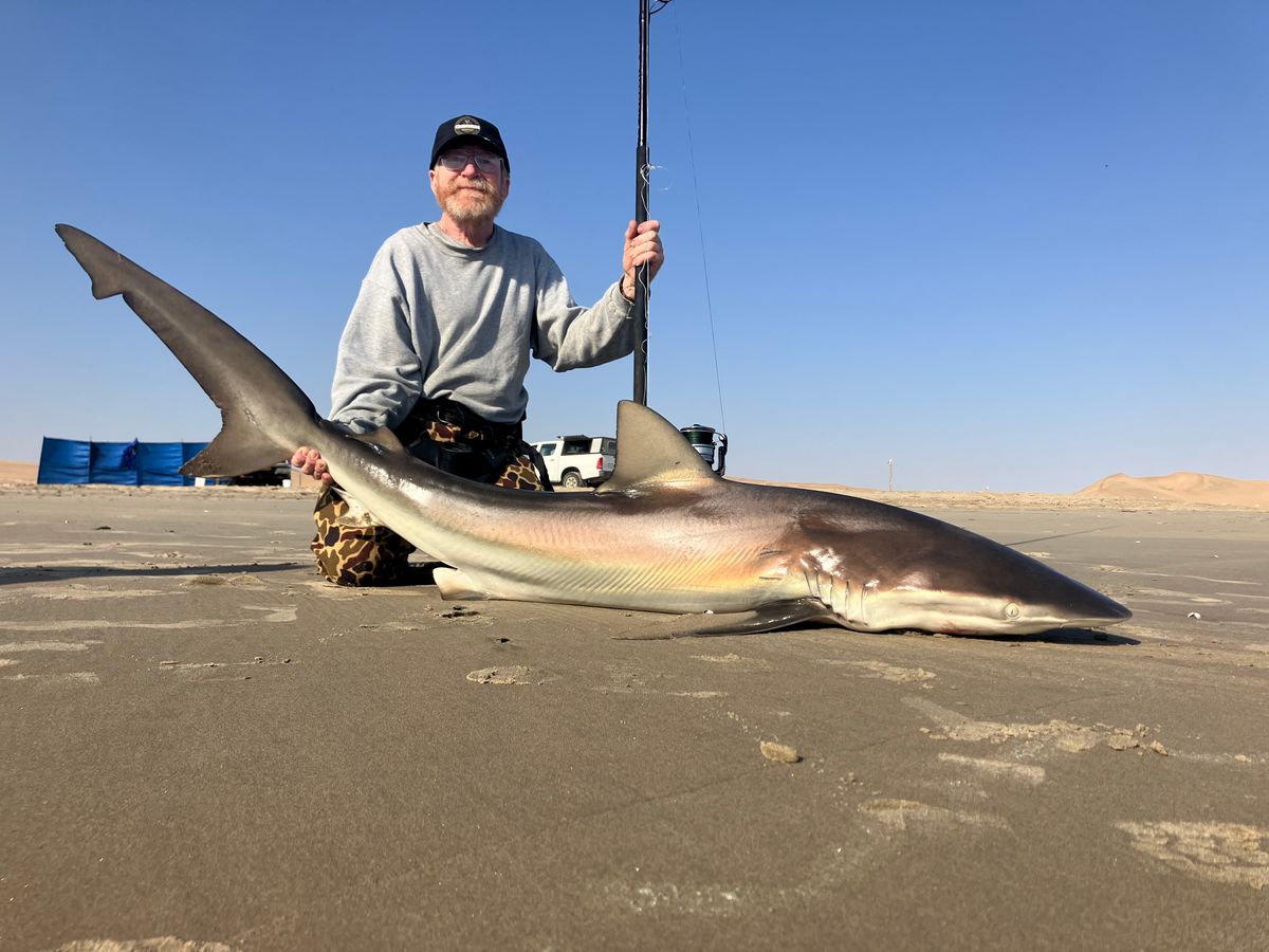 Shark Catch on Beach