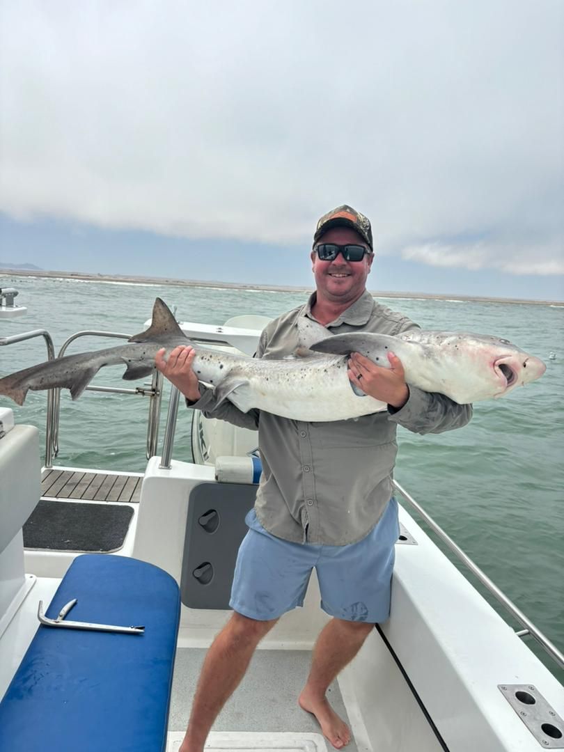Shark Catch from Boat