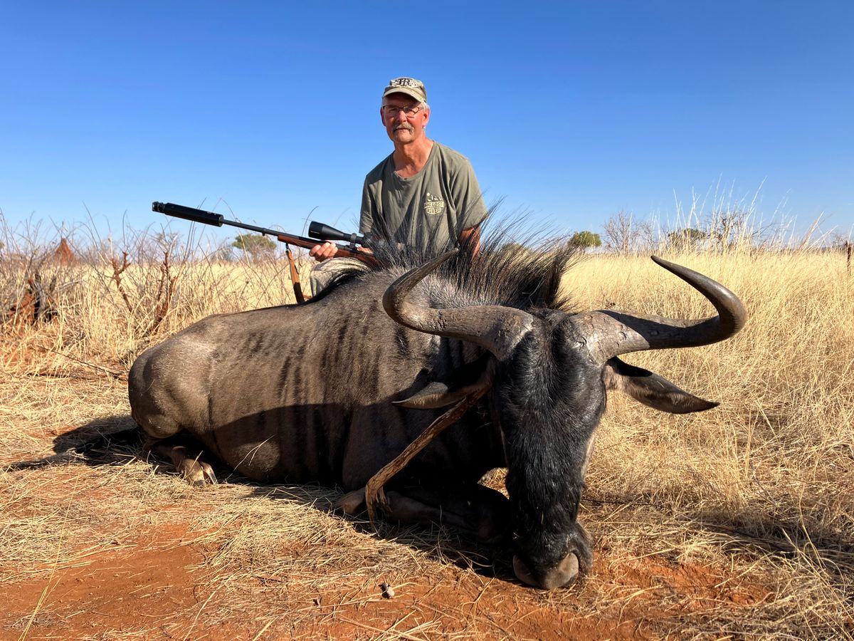 Blue Wildebeest Trophy