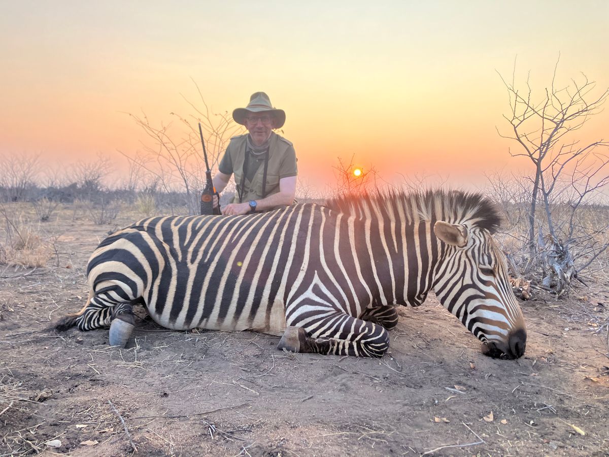 Zebra Trophy at Sunset