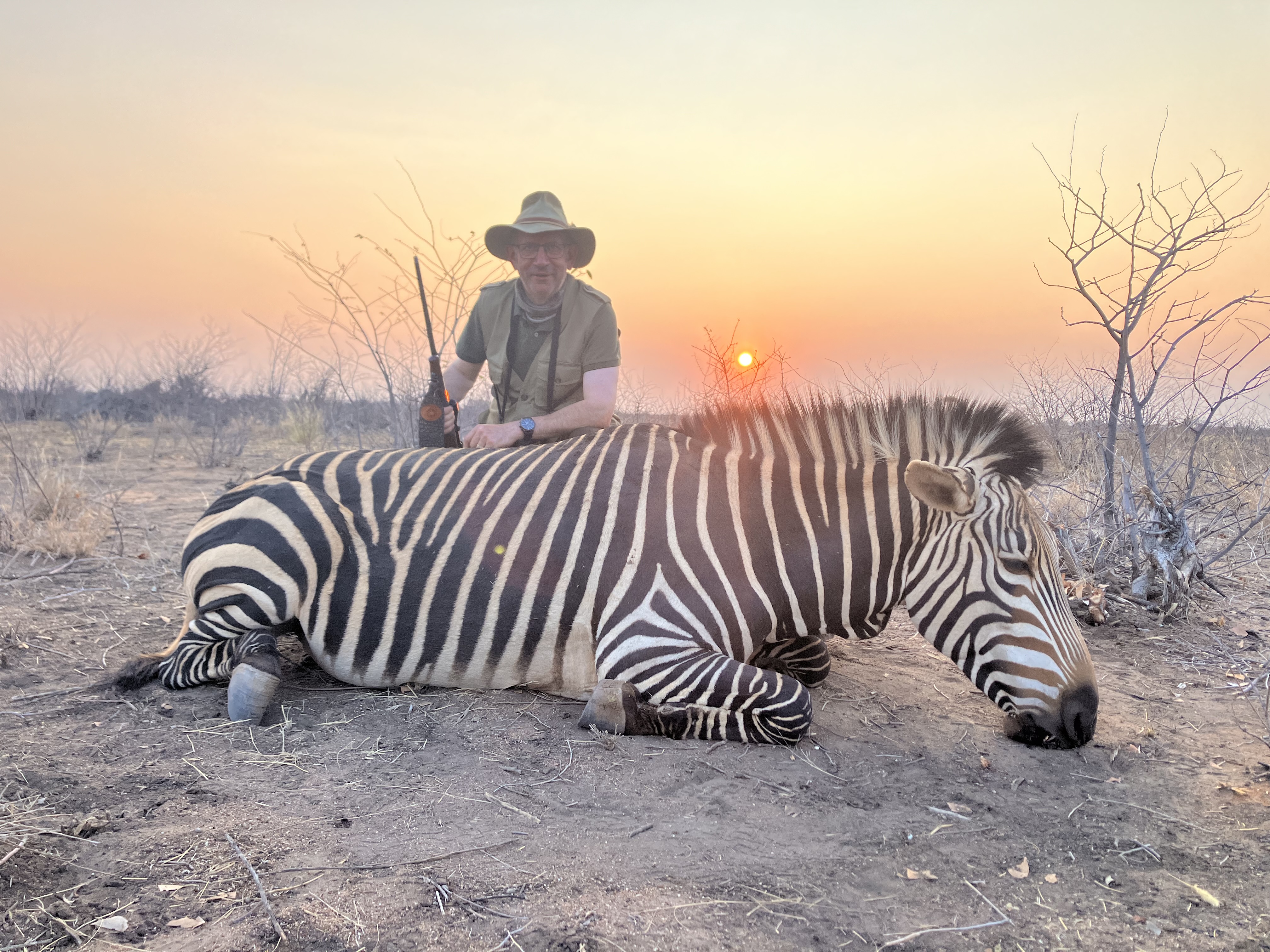 Zebra at Sunset