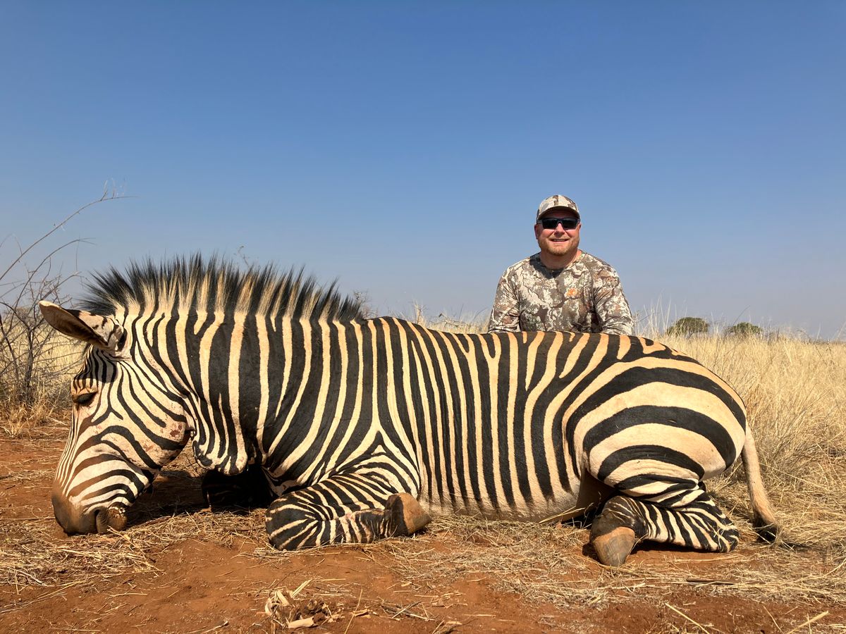 Zebra Trophy Hunt