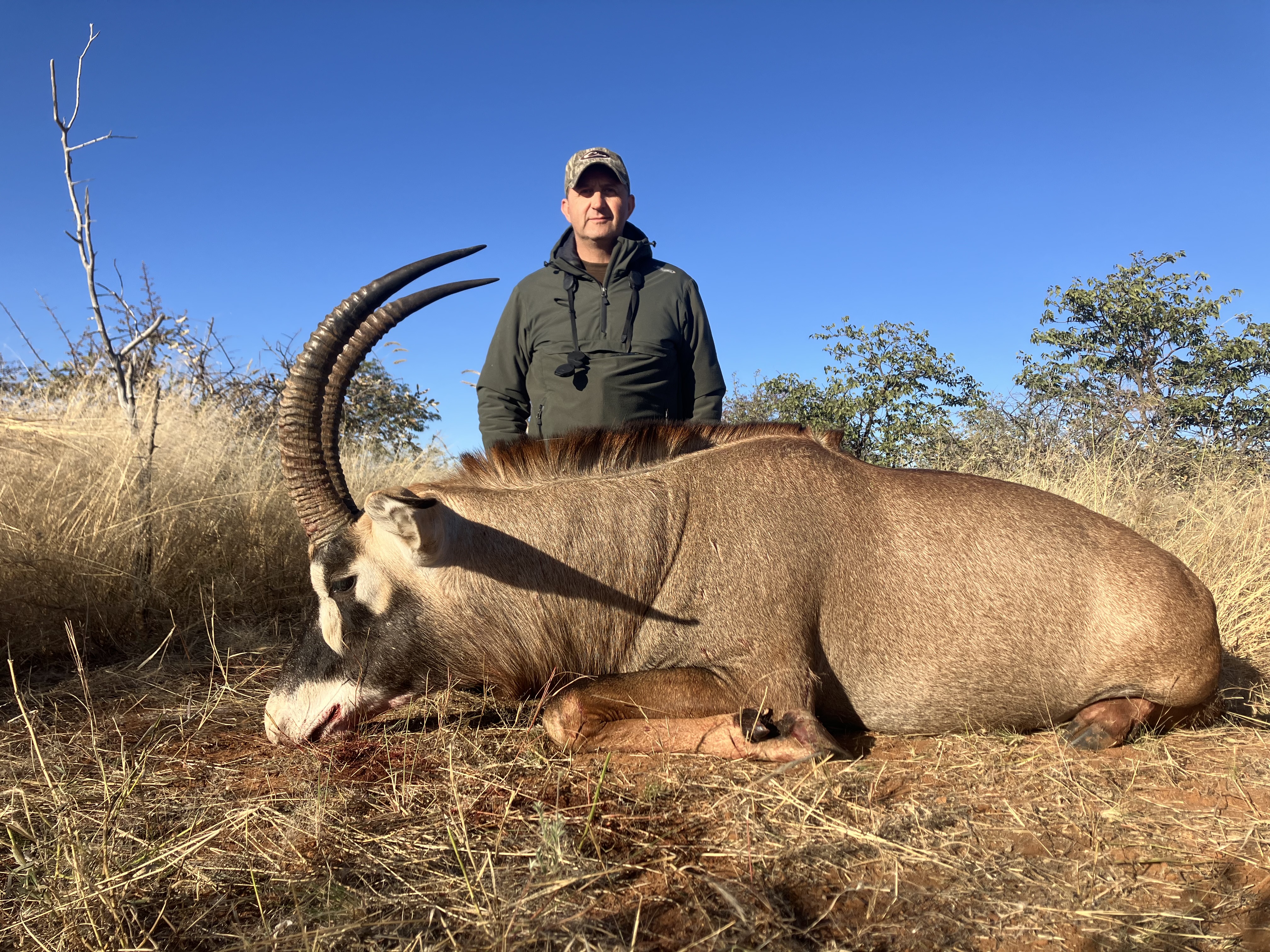 Roan Antelope
